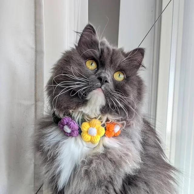 Adjustable Flowers Crochet Cat Collar