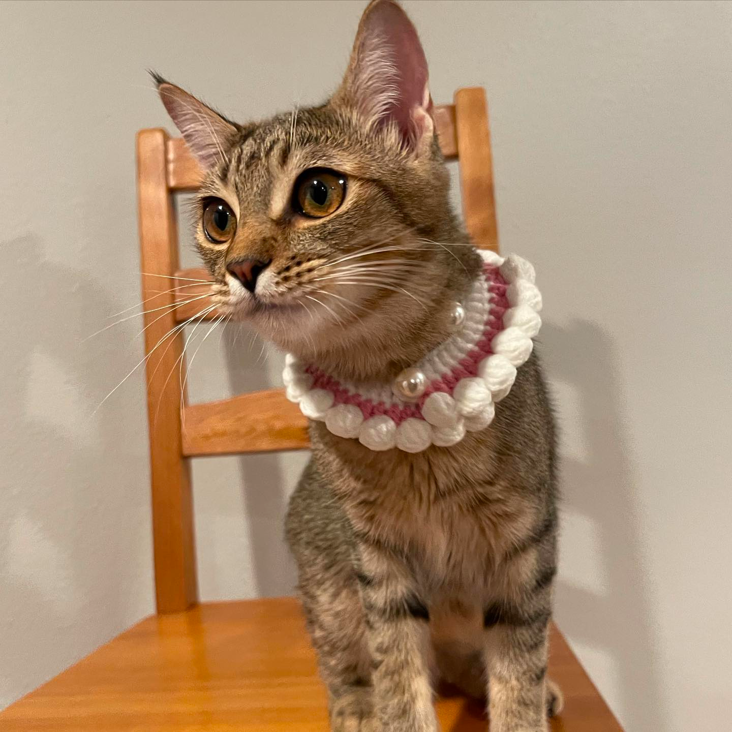 Crochet Collars fot Cats Pet Collar