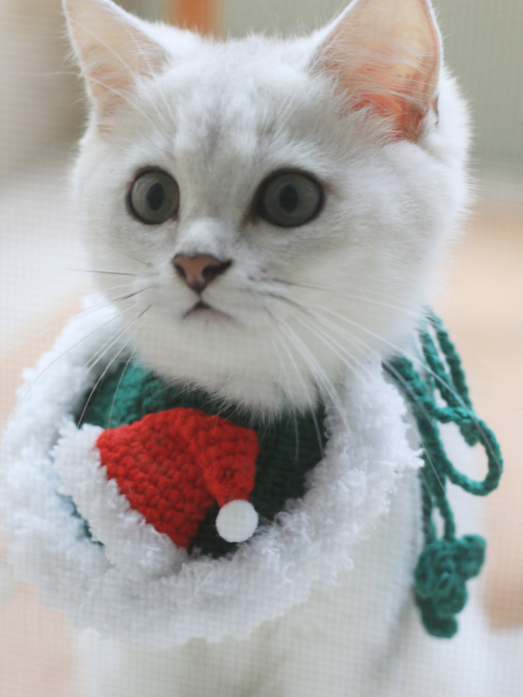Christmas Crochet Cat Bib