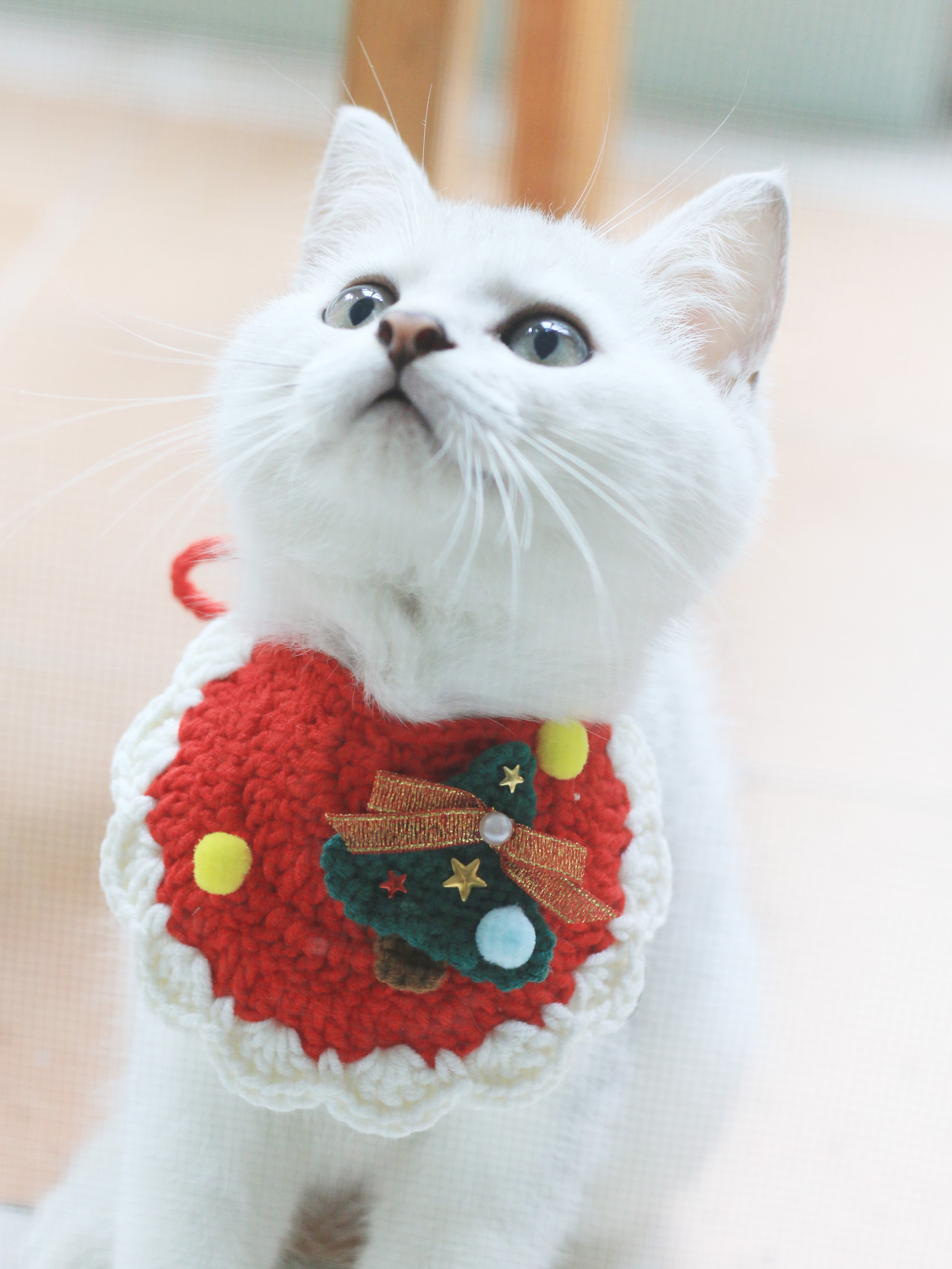 Christmas Crochet Cat Bib