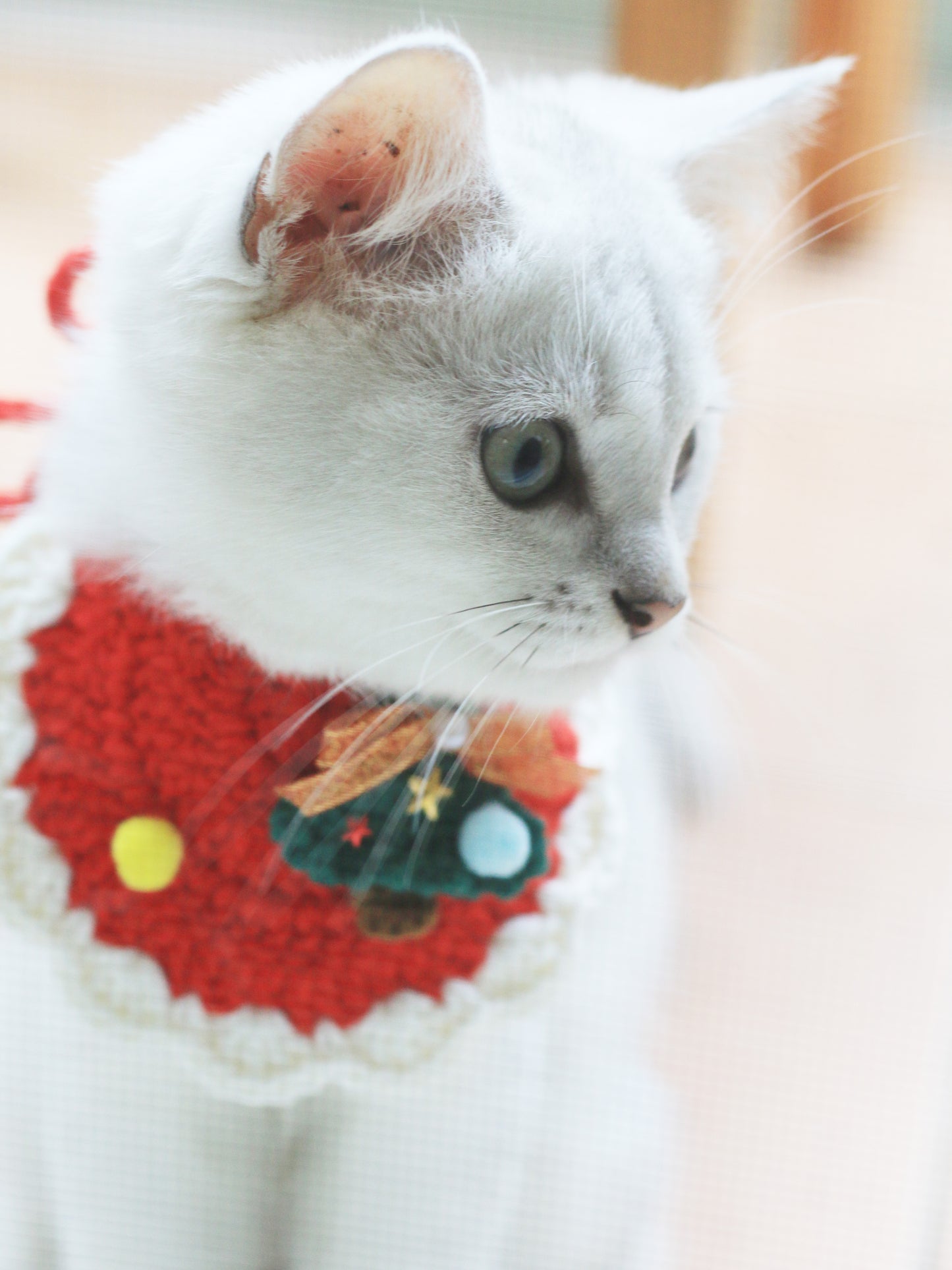 Christmas Crochet Cat Bib