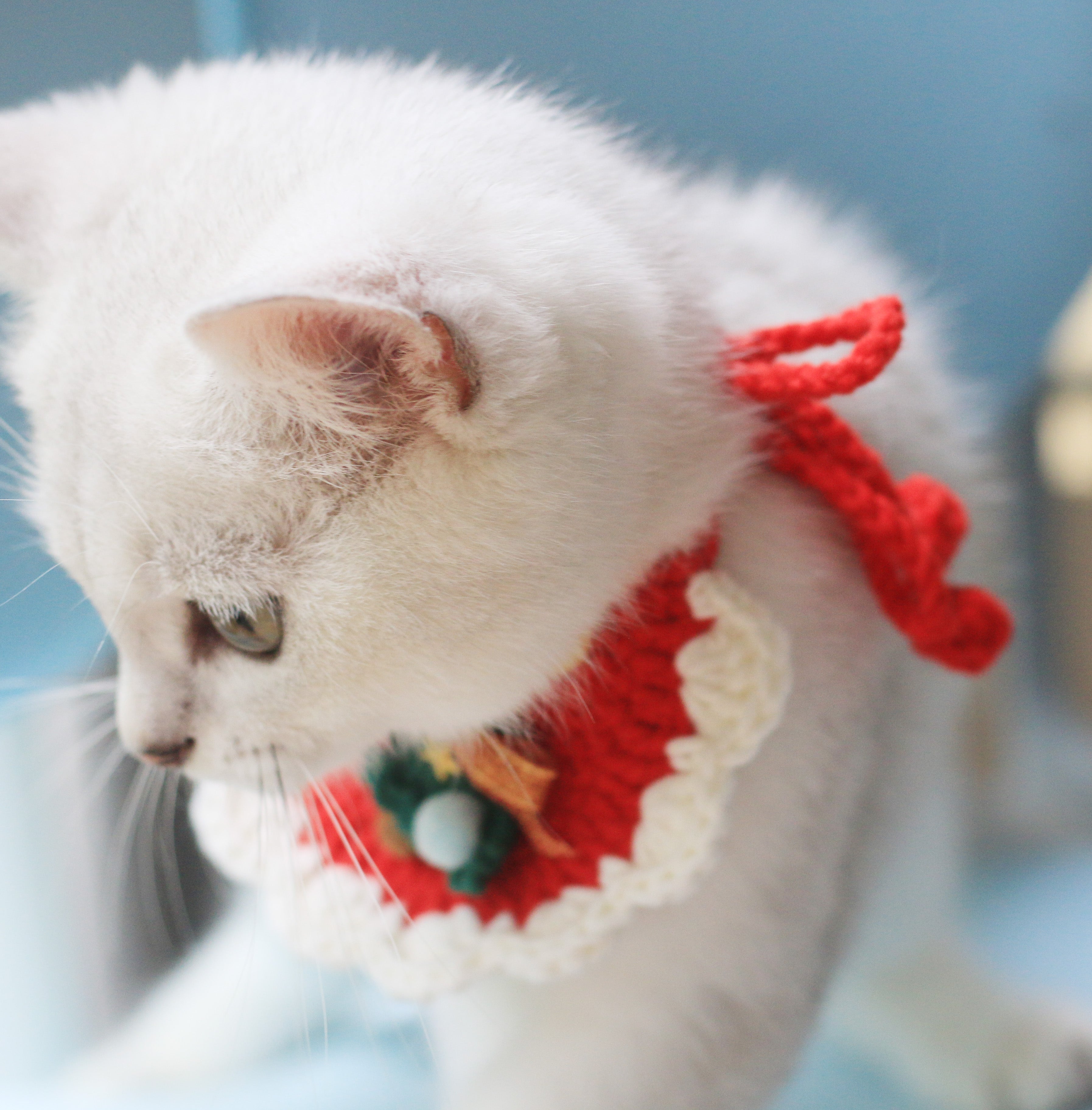 Christmas Crochet Cat Bib
