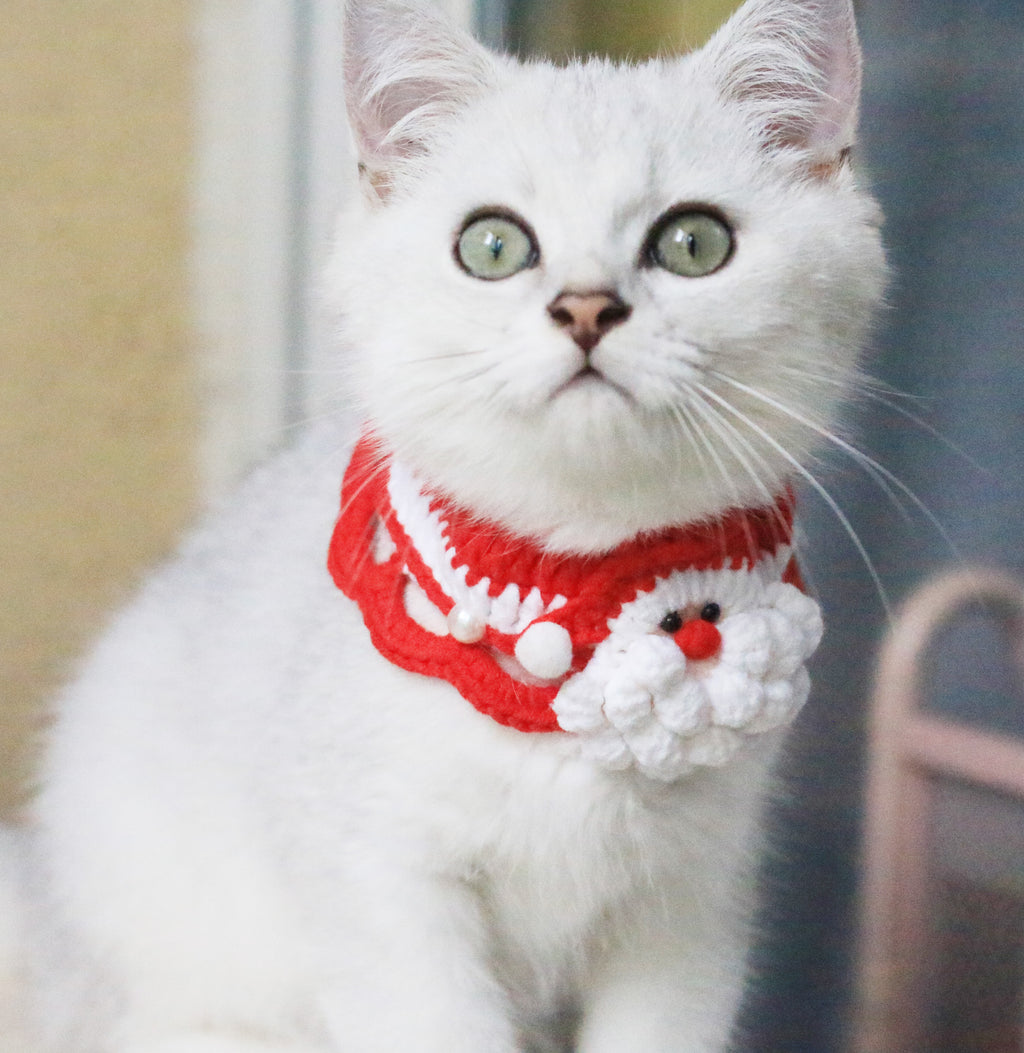 Christmas Santa Claus Crochet Cat Collar