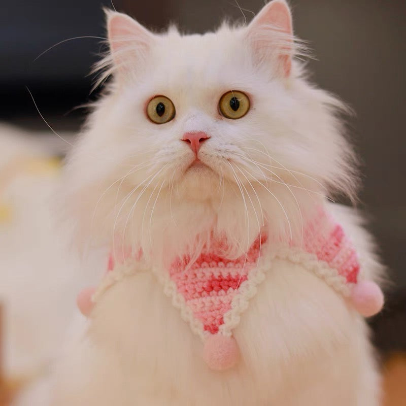 Happy Time Crochet Cat Collar