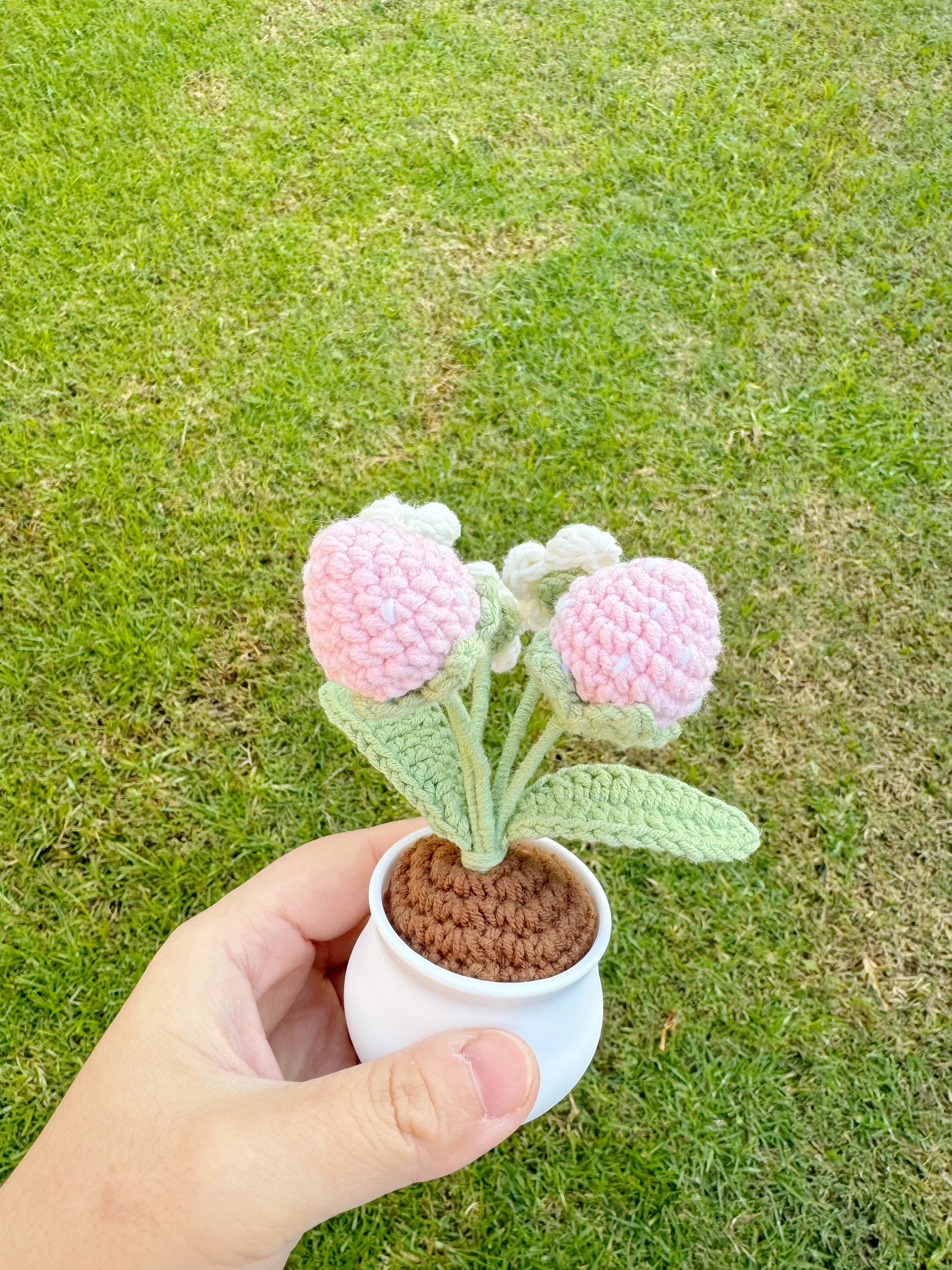 Crochet Strawberry Plant Home Decor Fruit Plant Gifts For Her