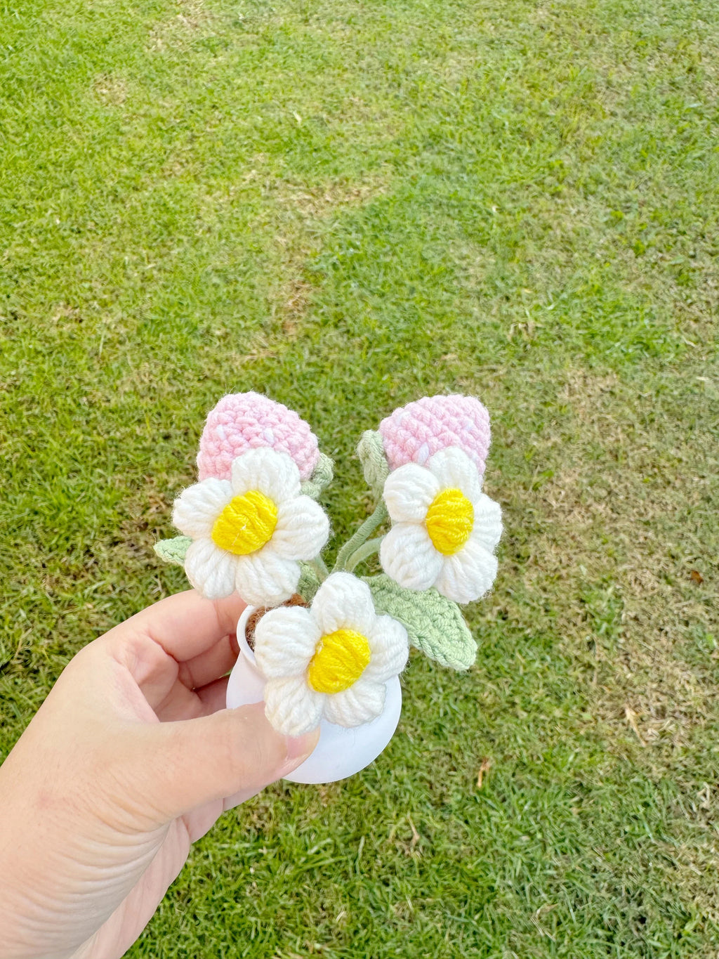 Crochet Strawberry Plant Home Decor Fruit Plant Gifts For Her