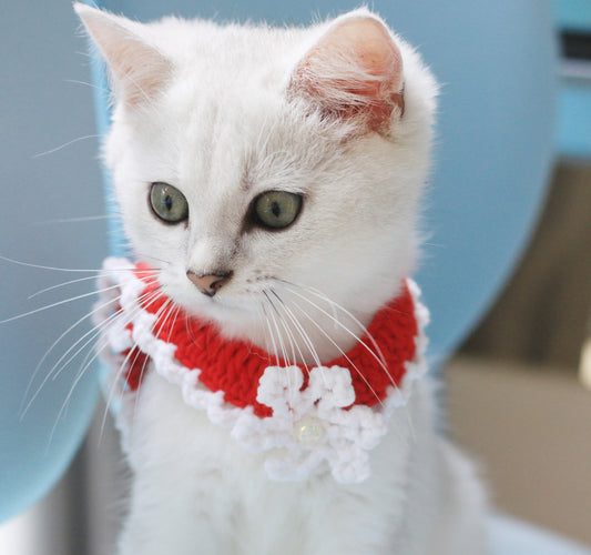 Snowflake Christmas Collar Cat and Dog Collar