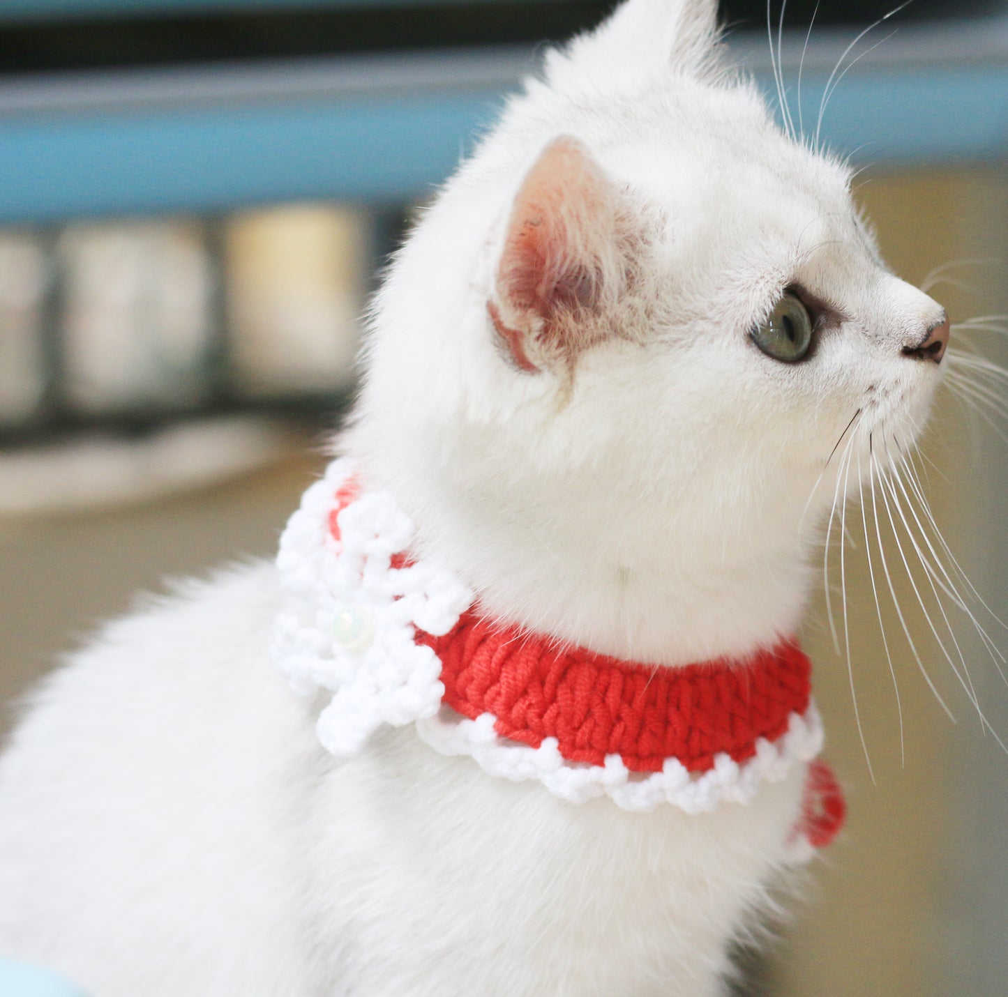 Snowflake Christmas Collar Cat and Dog Collar