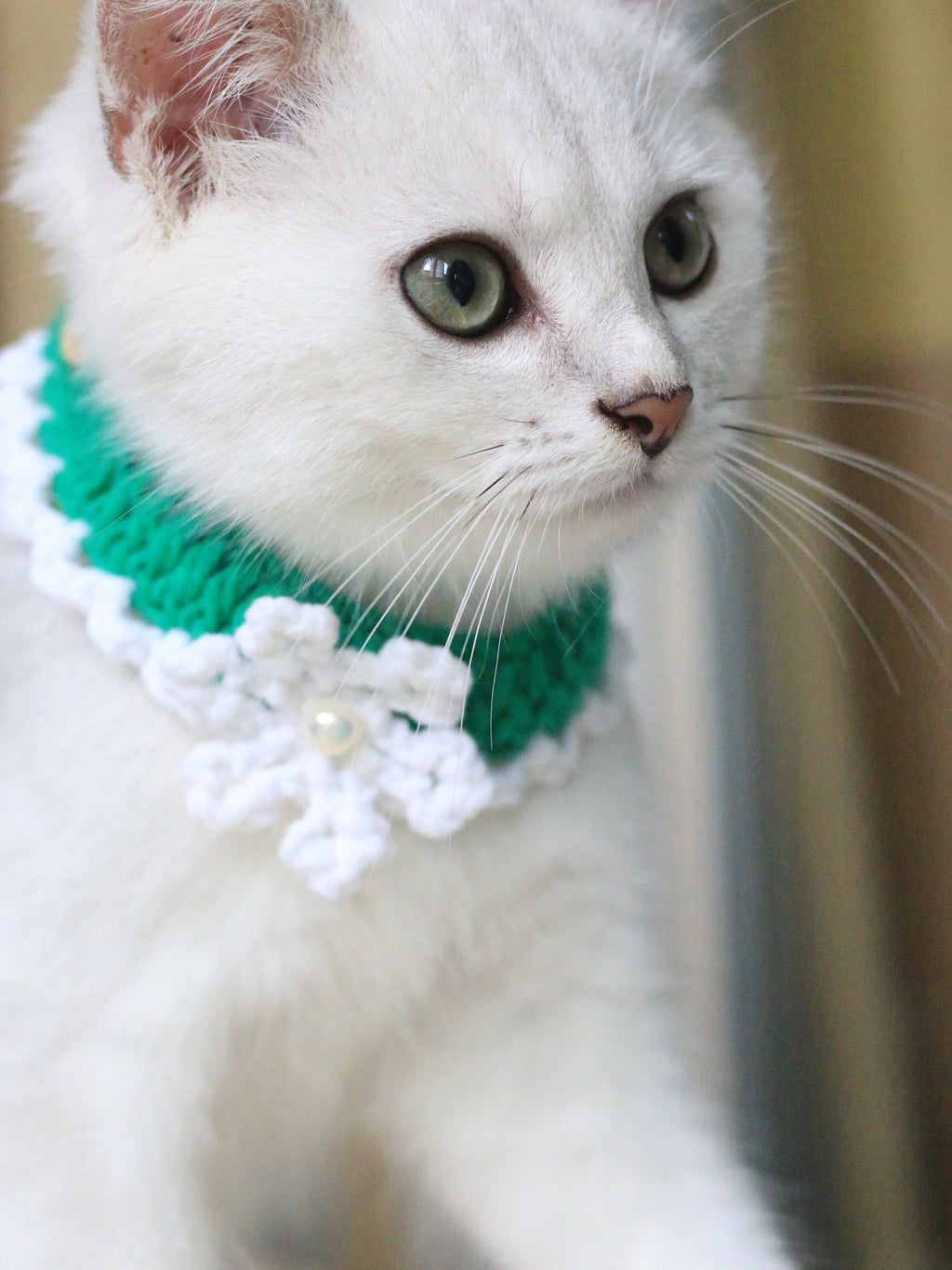 Snowflake Christmas Collar Cat and Dog Collar