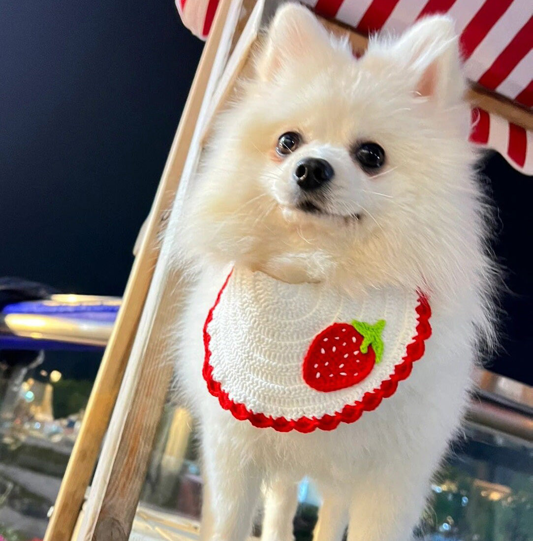 Strawberry Pet Collar Cat Bib