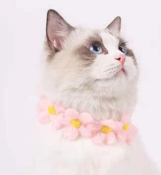 Flower cat cheap collar