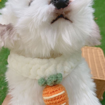 Carrot Pet Collar