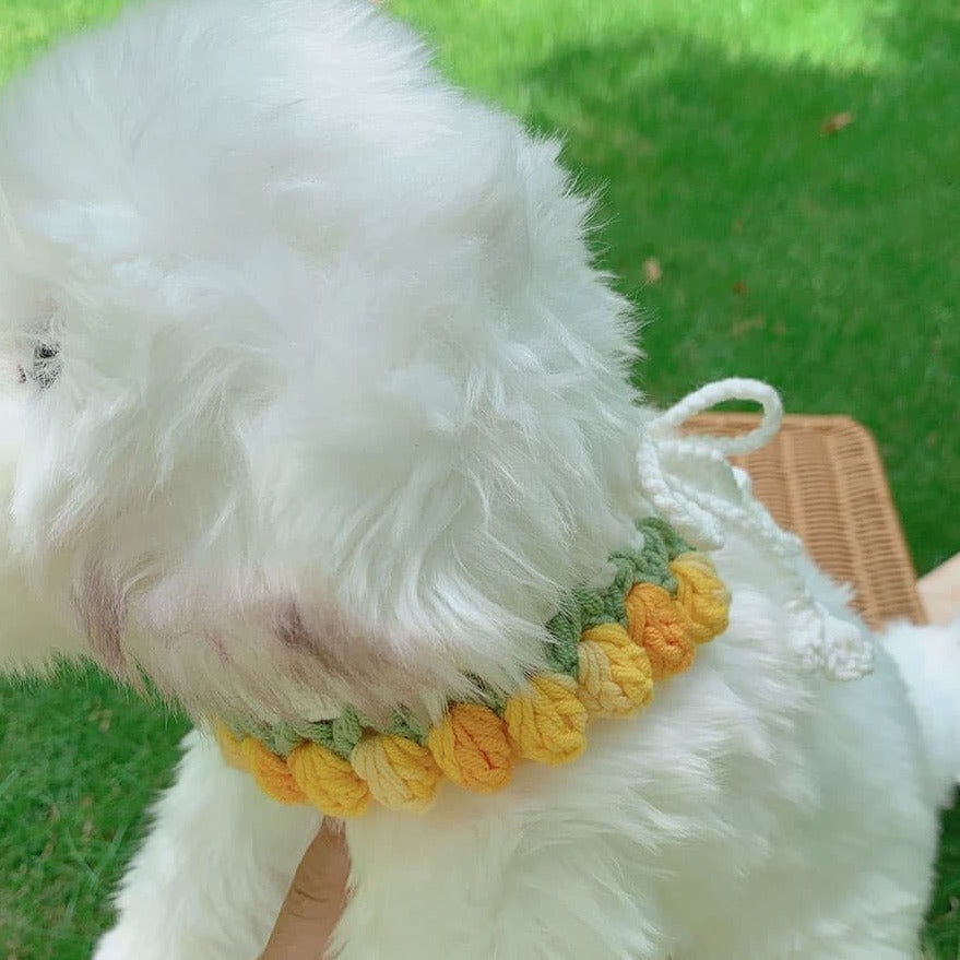 Tulip Cat Collar Cat