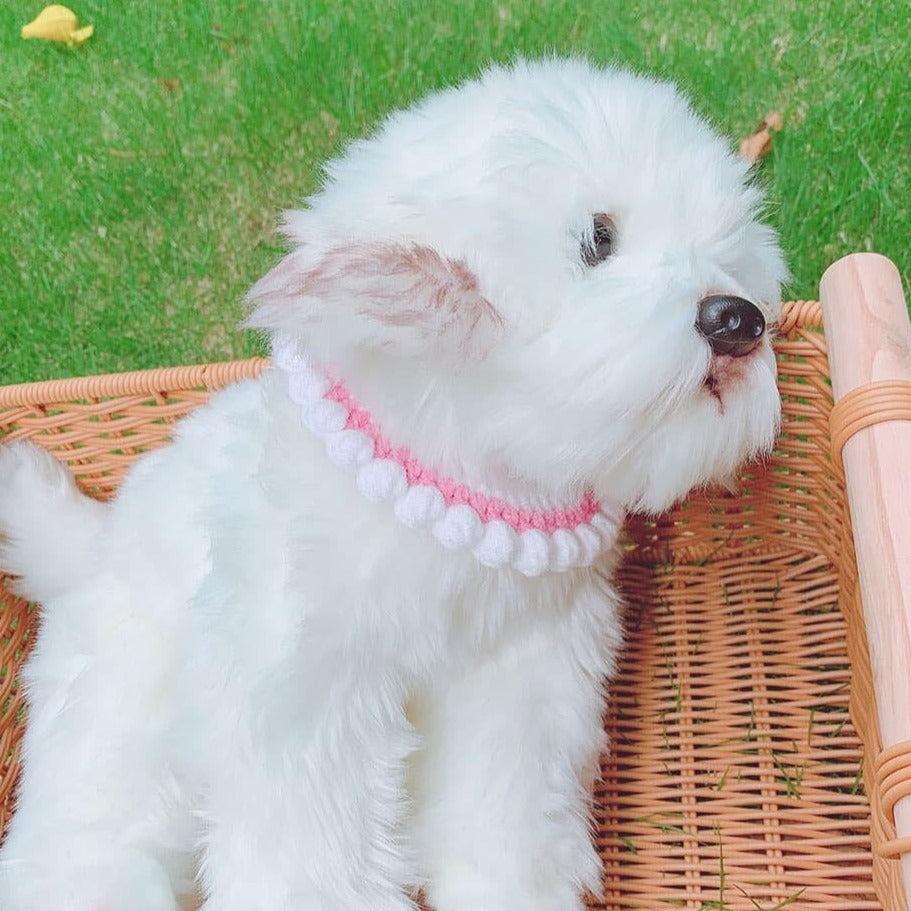 Crochet Collars fot Cats Pet Collar