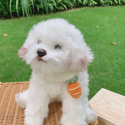 Carrot Pet Collar