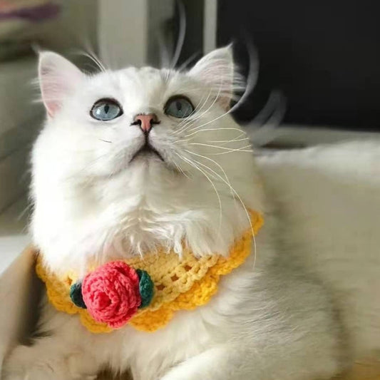 Crochet Orange Collar with Rose