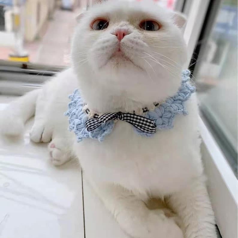 Crochet Pet Collar Tieup Cat Collar