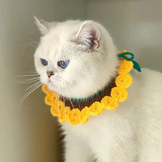 Wave Cat Collar Yellow Pet Collar