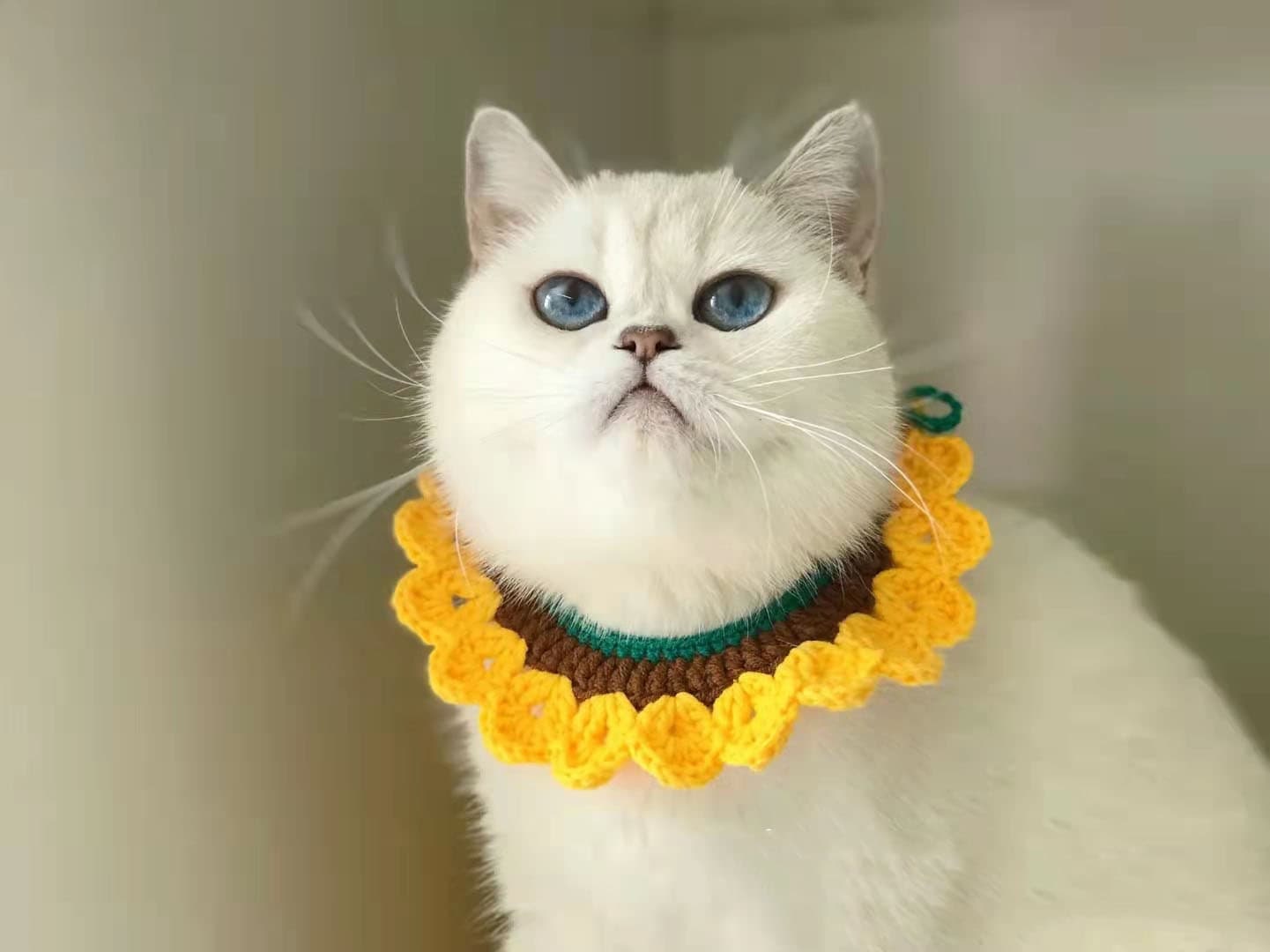 Wave Cat Collar Yellow Pet Collar