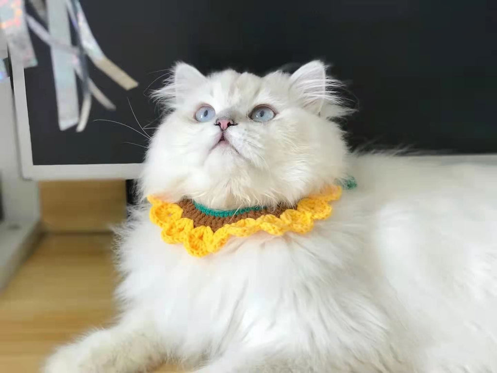 Wave Cat Collar Yellow Pet Collar