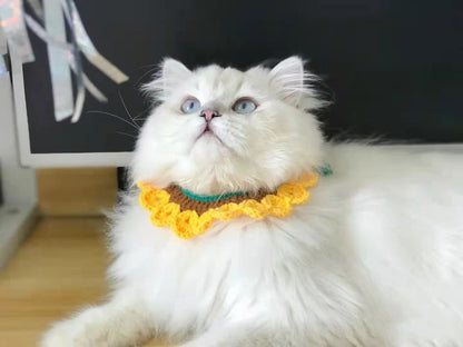 Wave Cat Collar Yellow Pet Collar
