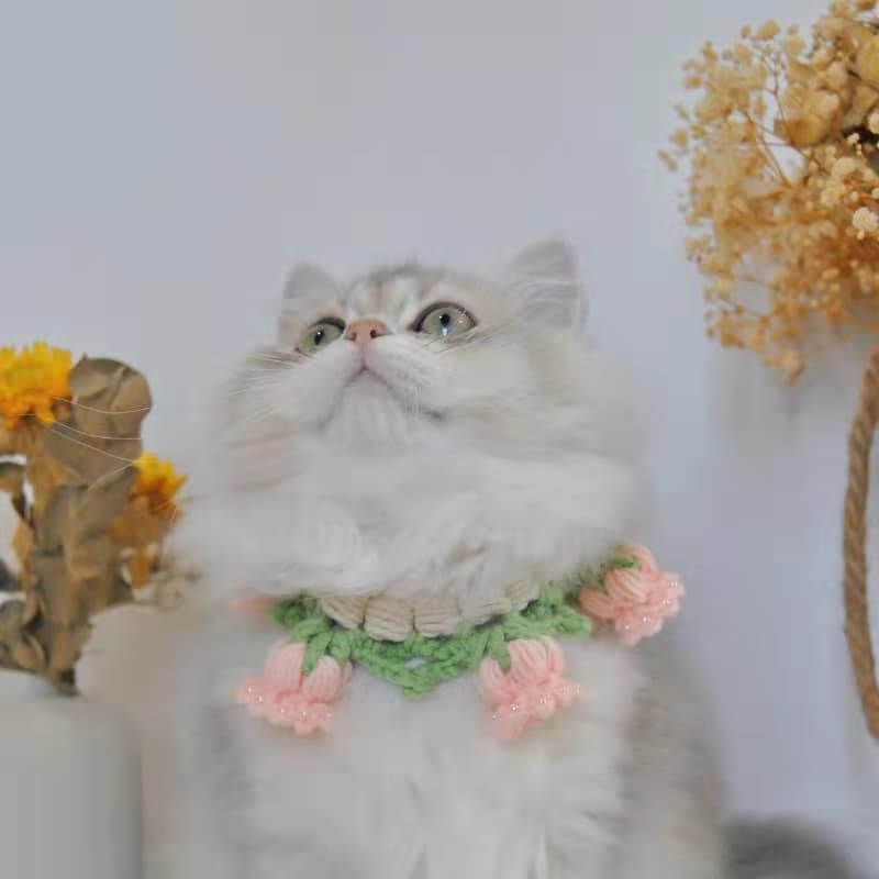 Knit Flower Pet Collar