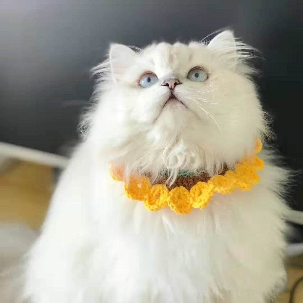 Wave Cat Collar Yellow Pet Collar