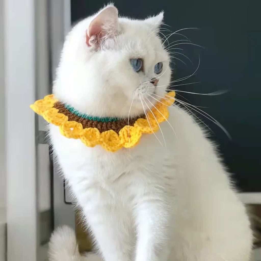 Wave Cat Collar Yellow Pet Collar