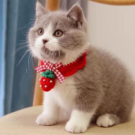 Knit Strawberry Pet Collar Fruit Cat Collar