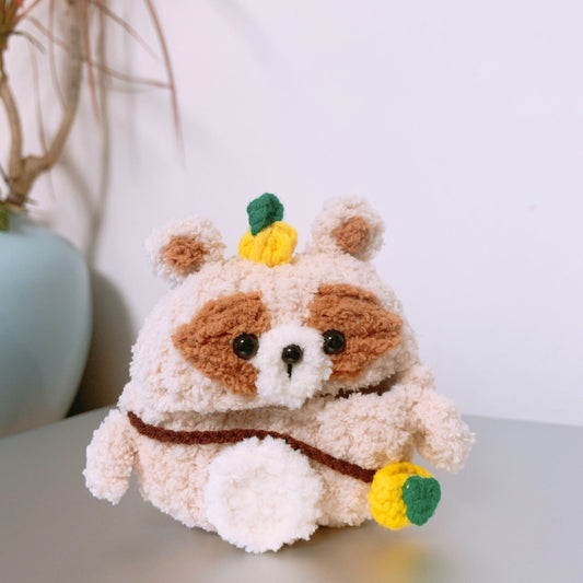 Apple Raccoon Airpod Case