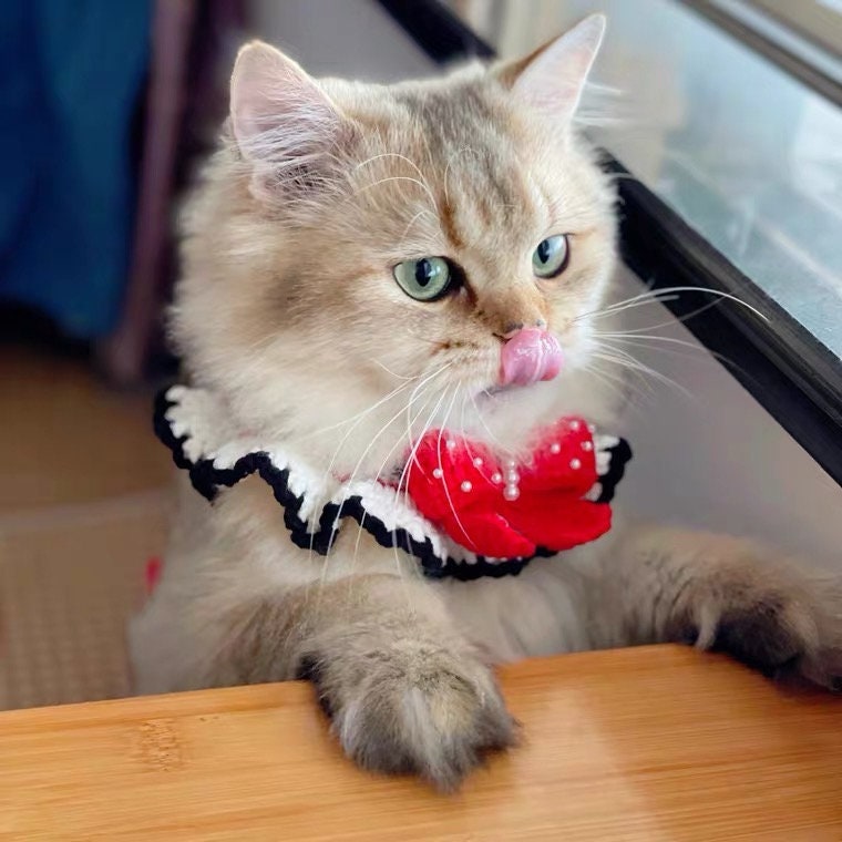 Crochet Pet Collar Flower Cat Collar