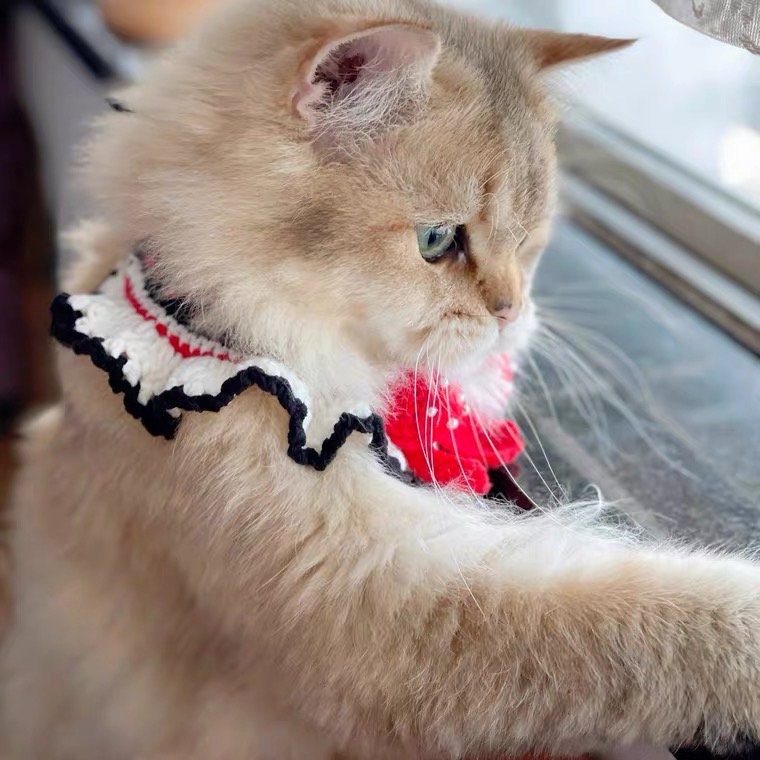 Crochet Pet Collar Flower Cat Collar
