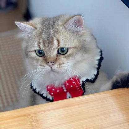 Crochet Pet Collar Flower Cat Collar
