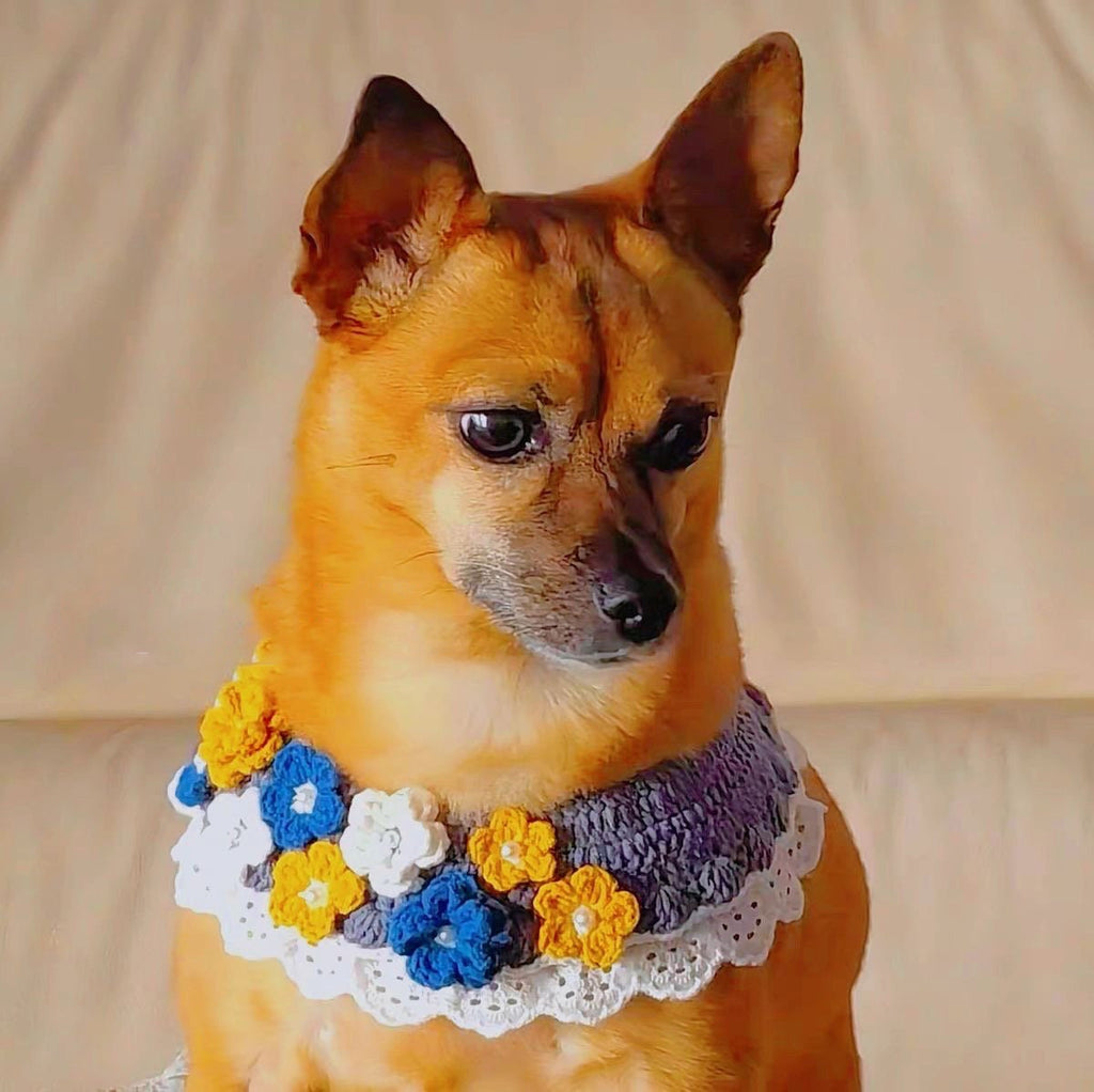 Crochet  Cat and Dog Collar