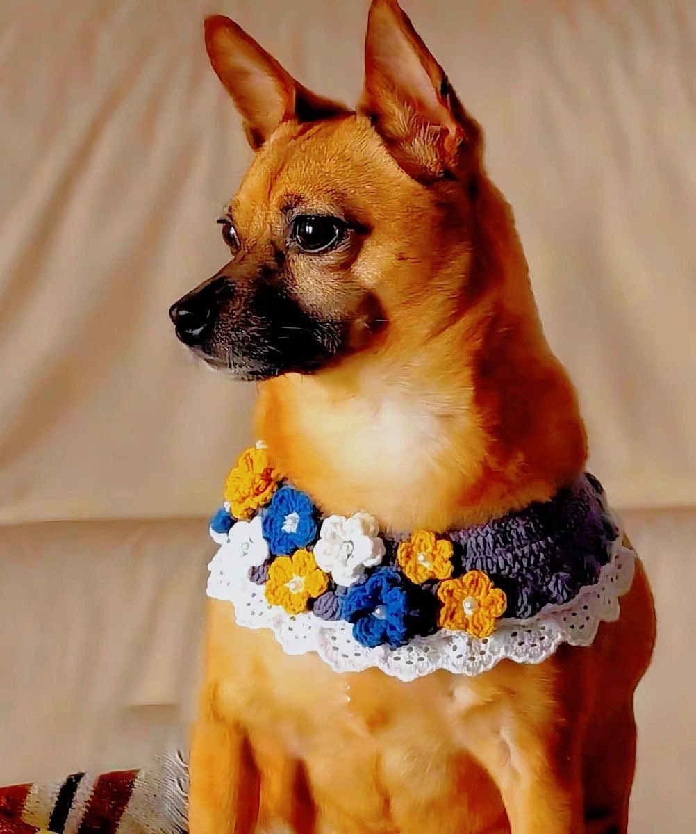 Crochet  Cat and Dog Collar