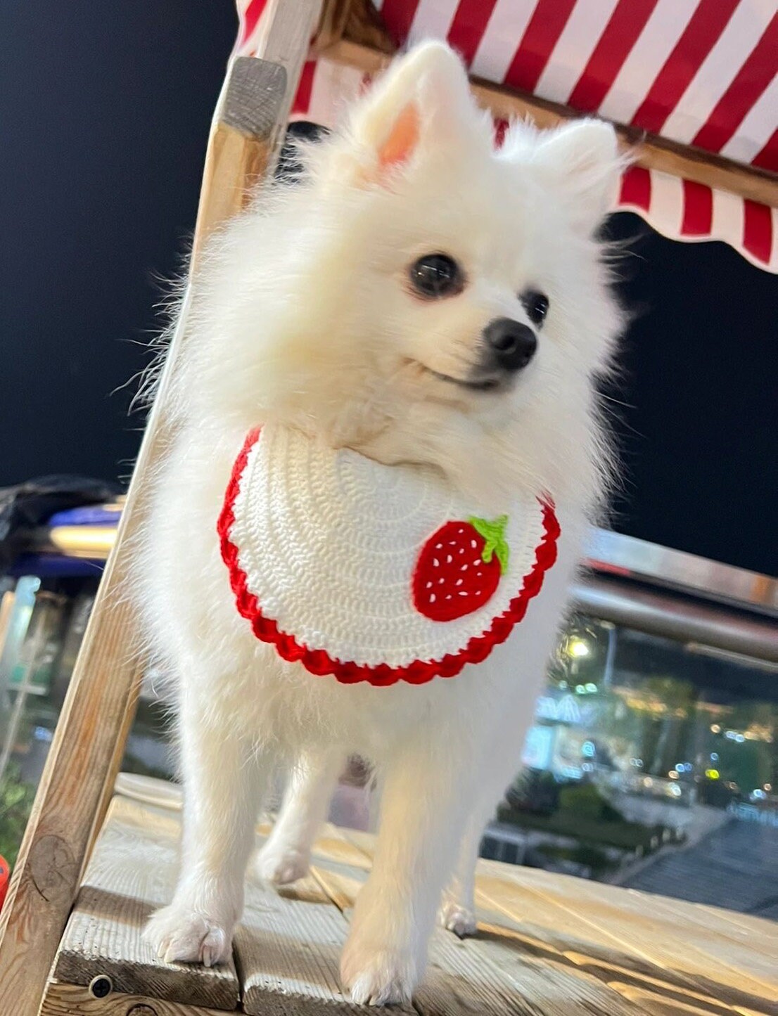 Strawberry Pet Collar Cat Bib