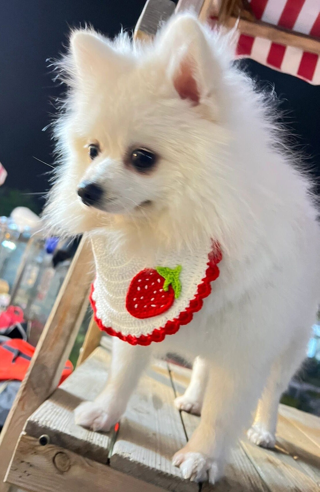 Strawberry Pet Collar Cat Bib