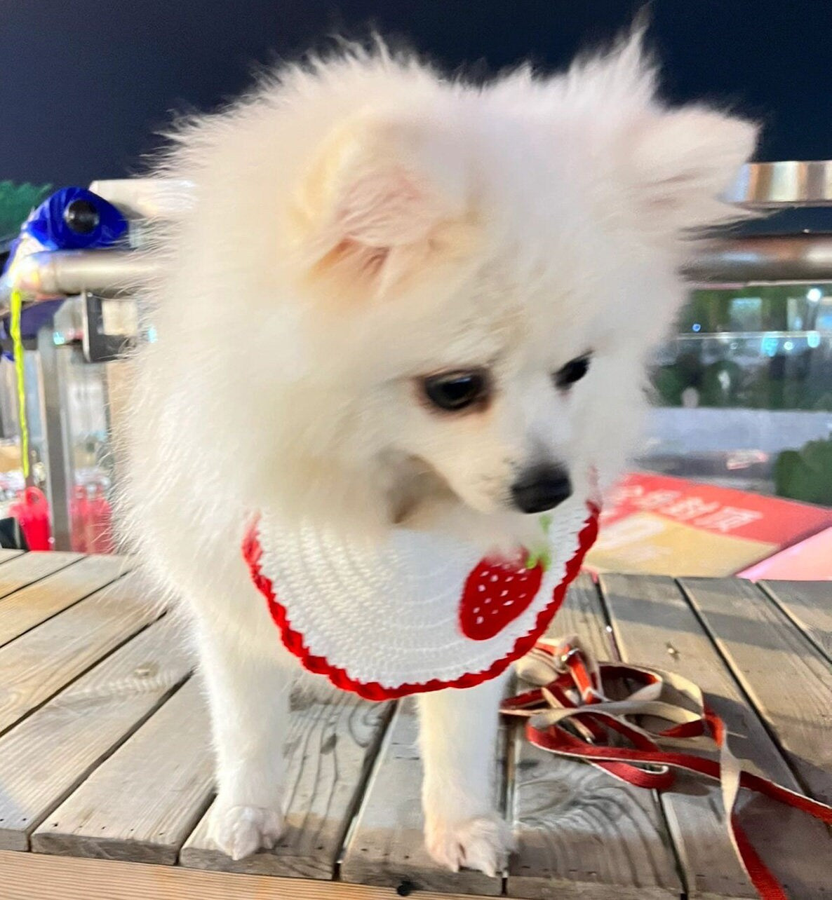 Strawberry Pet Collar Cat Bib