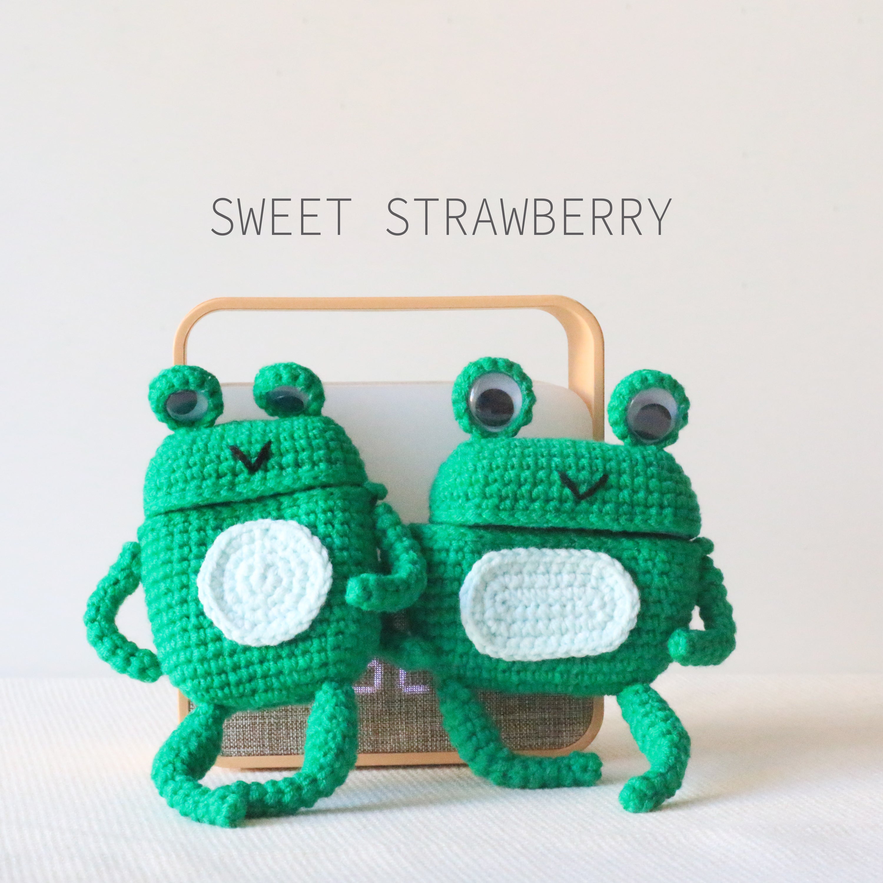 The Frog Team Crochet Airpod Case